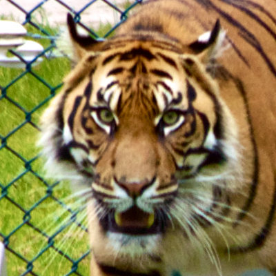 Maintenance coordination